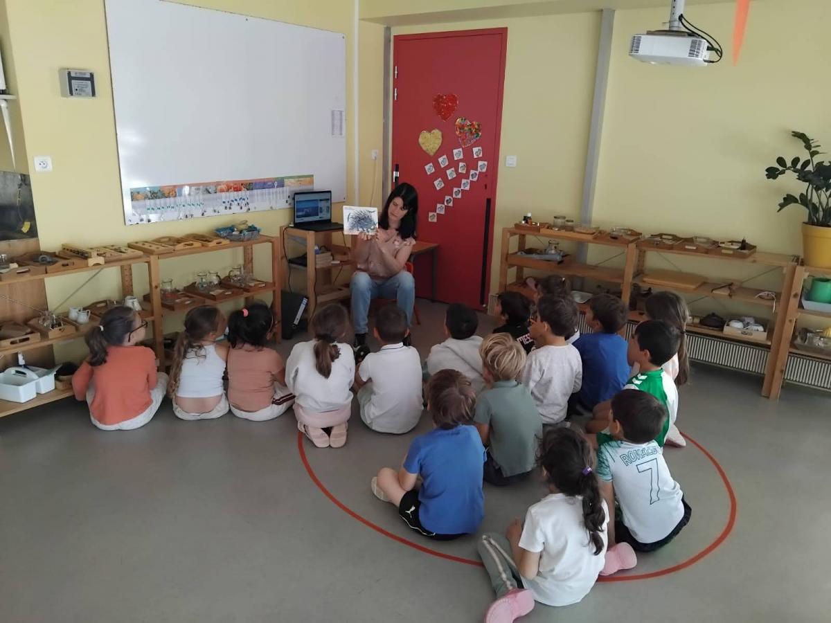 Anglais avec amandine