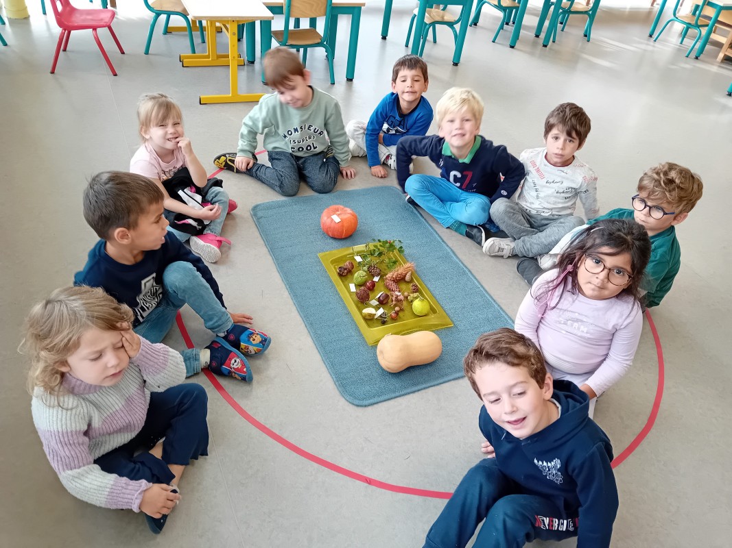 projet pédagogique carrousel 5