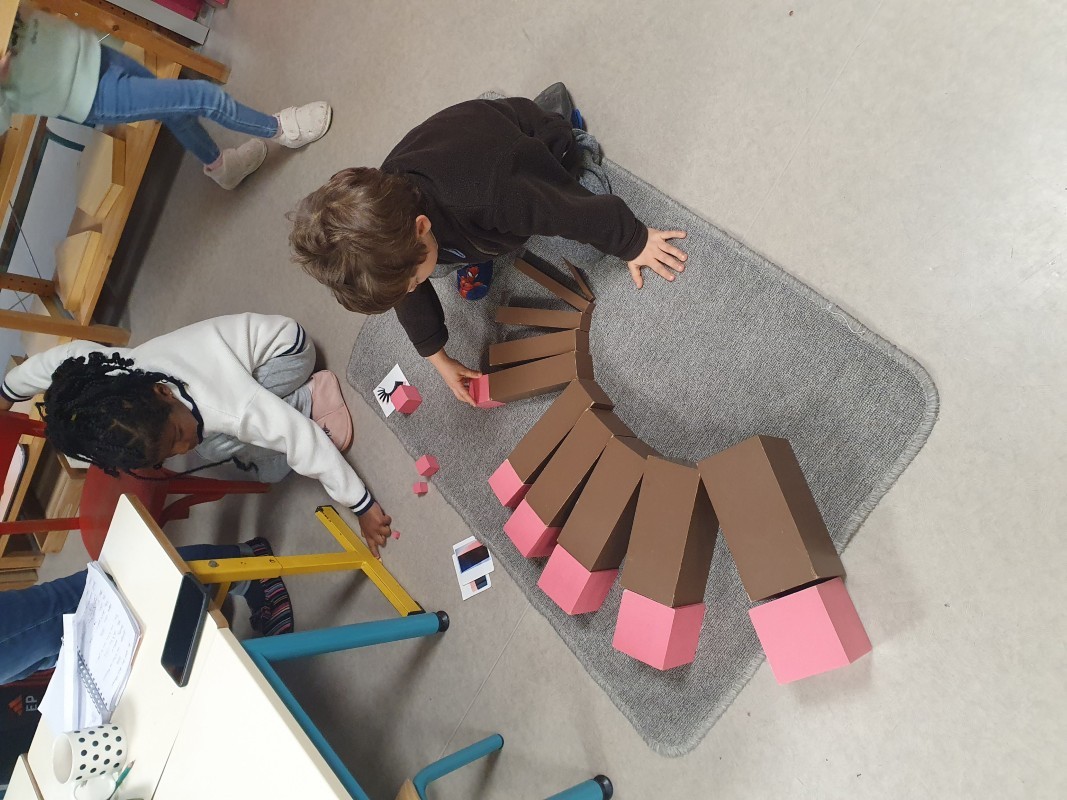 projet pédagogique carrousel 1