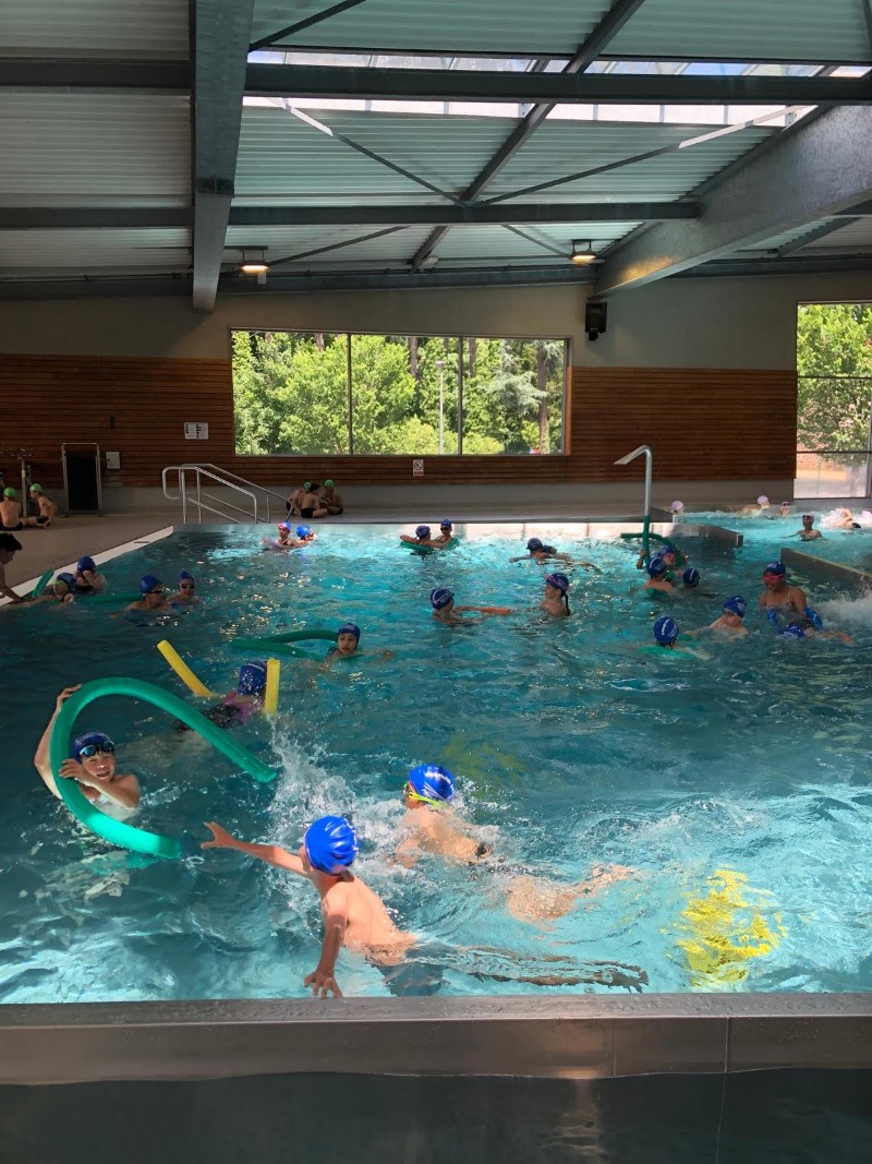 projet pédagogique carrousel 6