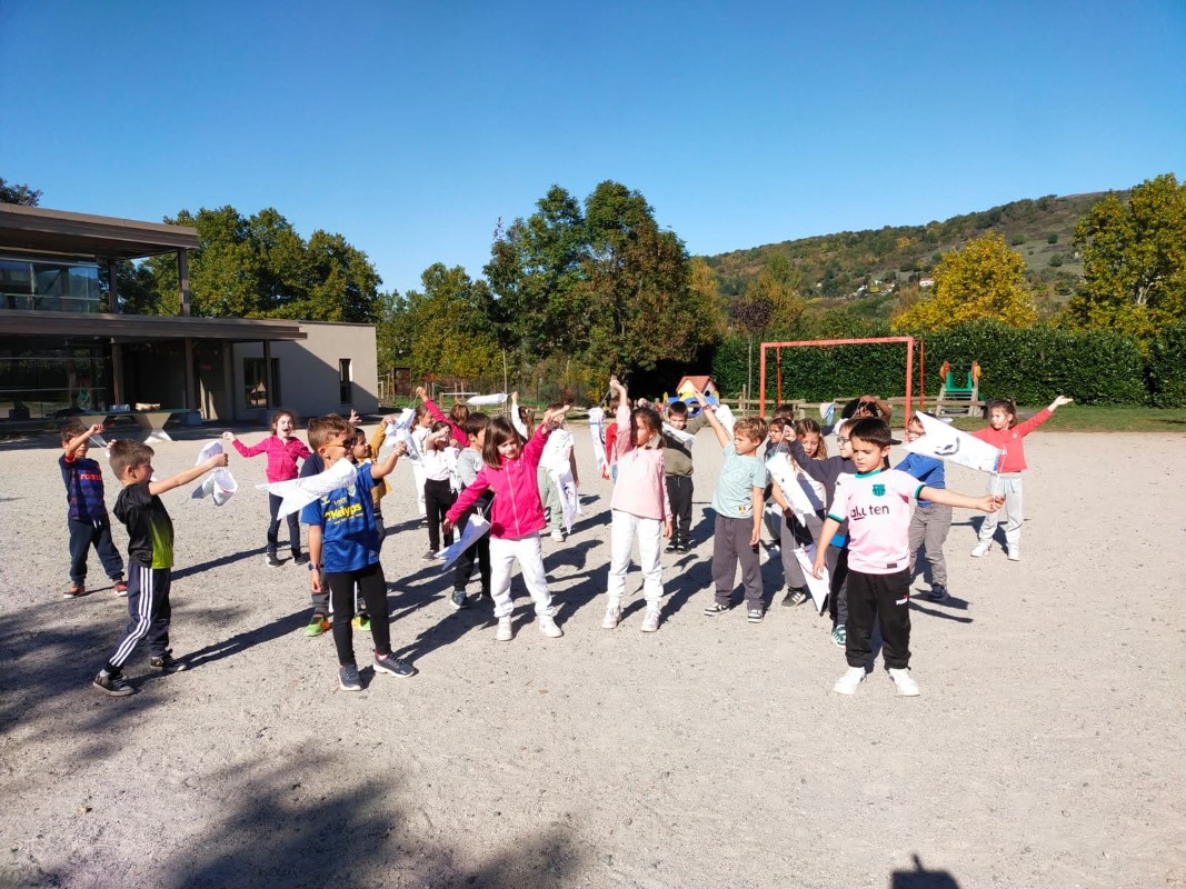 projet pédagogique carrousel 6