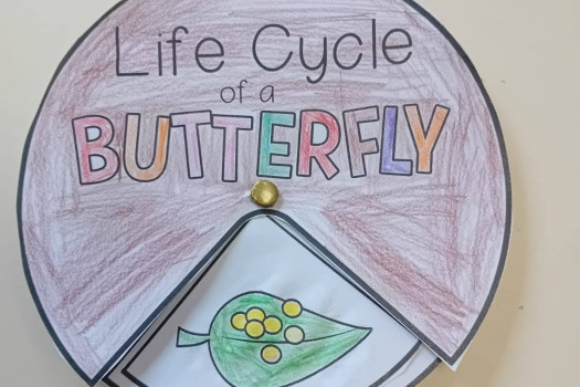 The Very Hungry Caterpillar