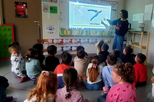 Au cœur du langage : nos séances « Apprentilangue » !